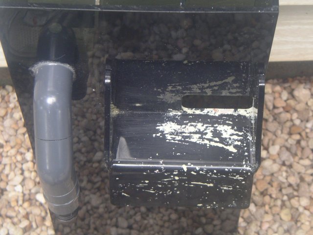IMGP0106.JPG