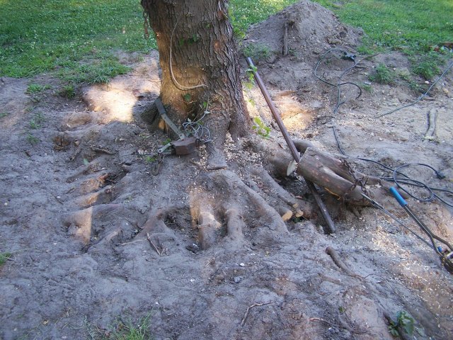 100_4123.JPG 100_4123.JPG