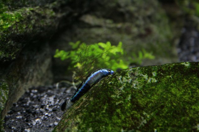 _MG_3040.JPG