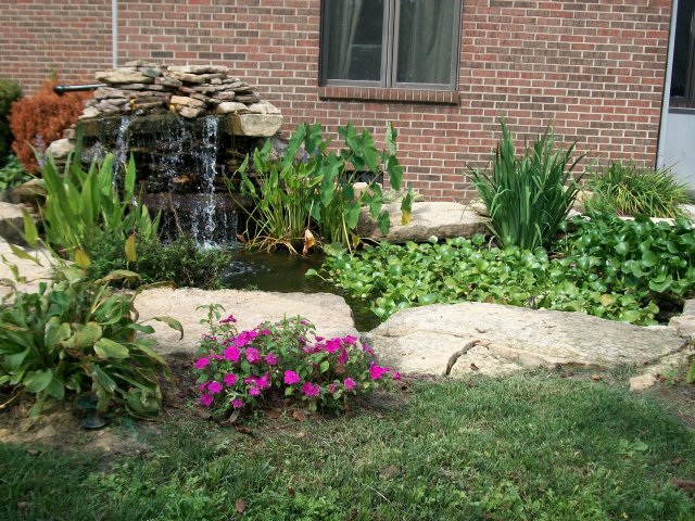 pond 'o8 162.jpg