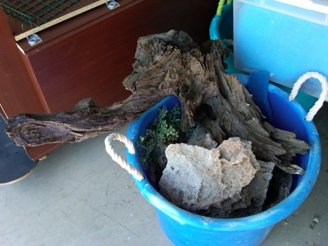 Driftwood2.JPG