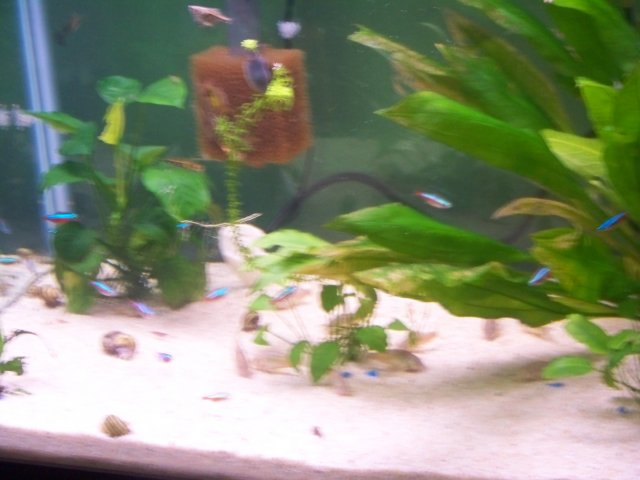 100_0425.JPG 100_0425.JPG