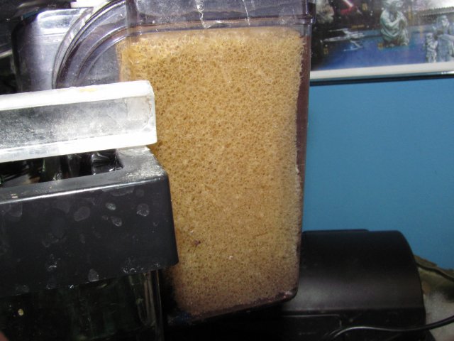 Red sea filter  sponge mod 1.JPG