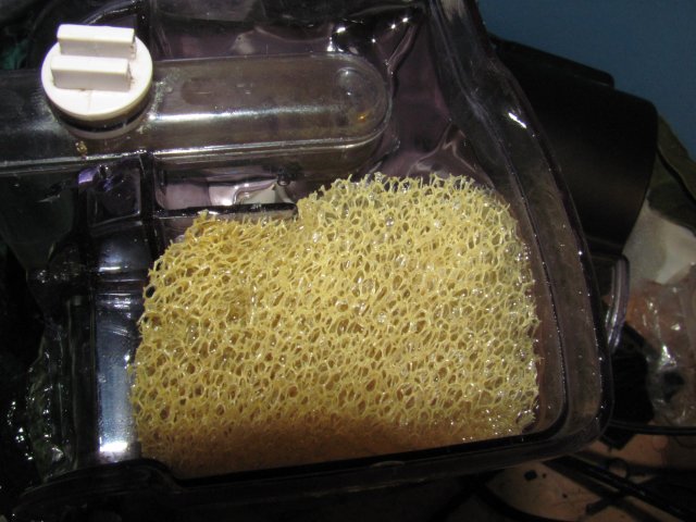 Red sea filter  sponge mod 2.JPG