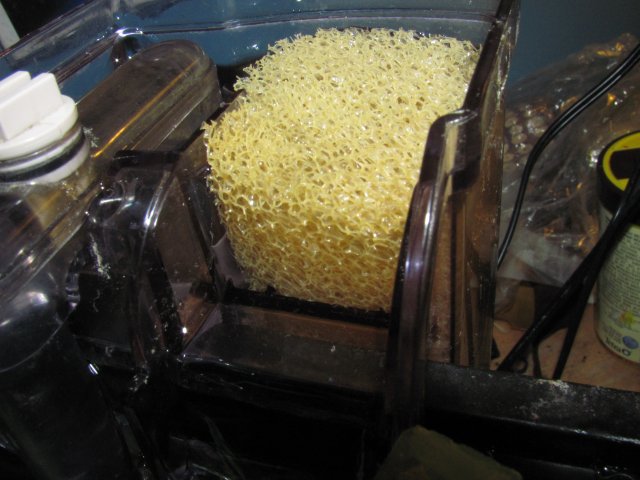 Red sea filter  sponge mod 3.JPG