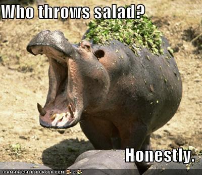 funny-pictures-hippo-salad-thrown.jpg