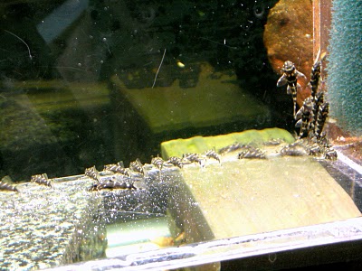 DSCN5933.JPG