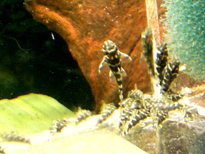 DSCN5939.JPG