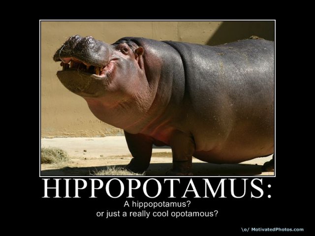 633734303580097910-hippopotamus.jpg