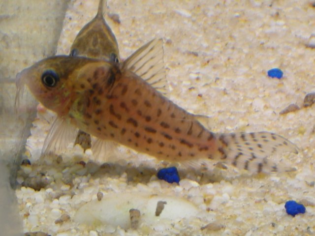 DSCN5952.JPG