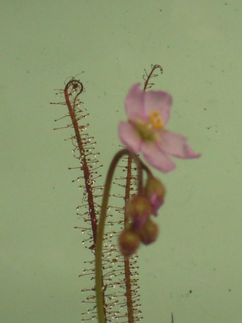 DSCN2382.JPG