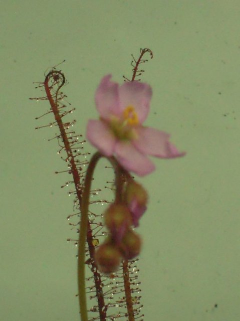 DSCN2383.JPG