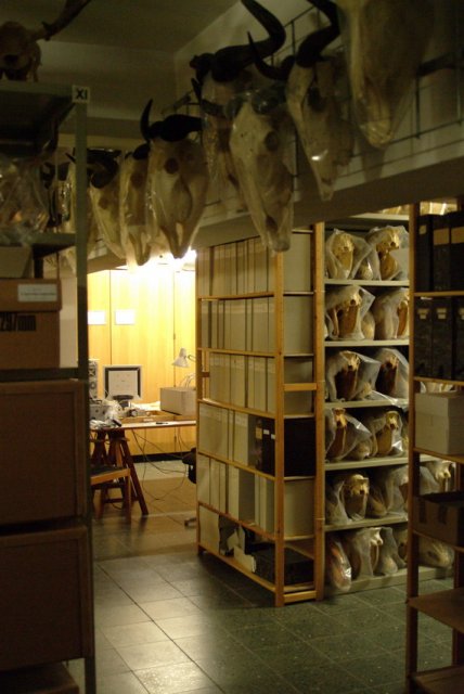 DSCF6434.jpg