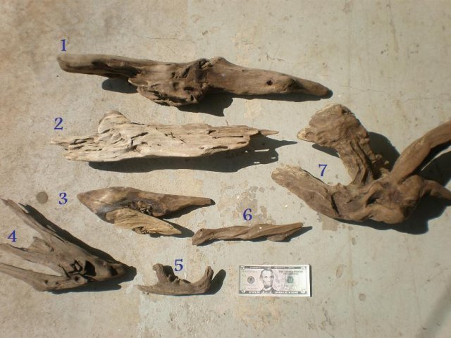 Driftwood1.jpg