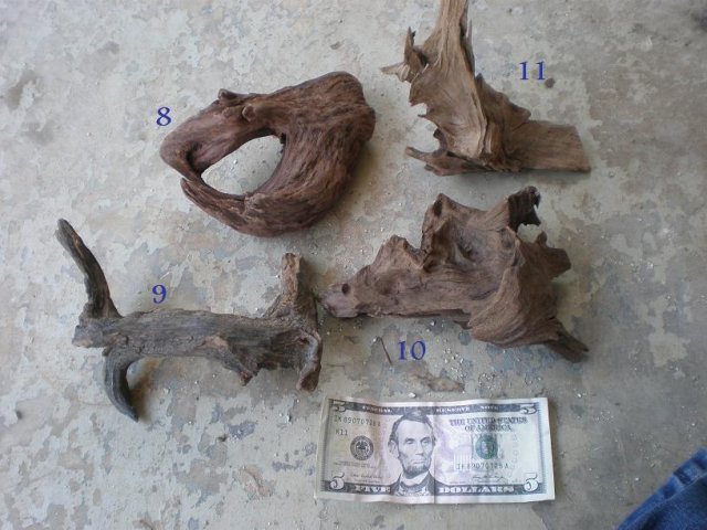 driftwood2.jpg