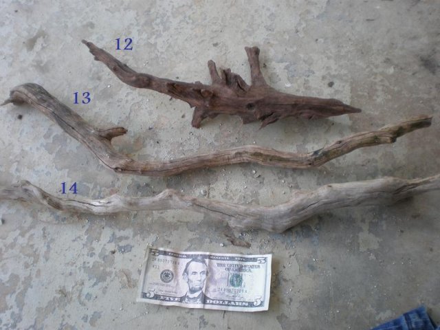 driftwood3.jpg