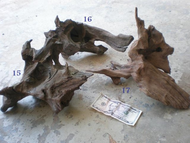 Driftwood4.jpg