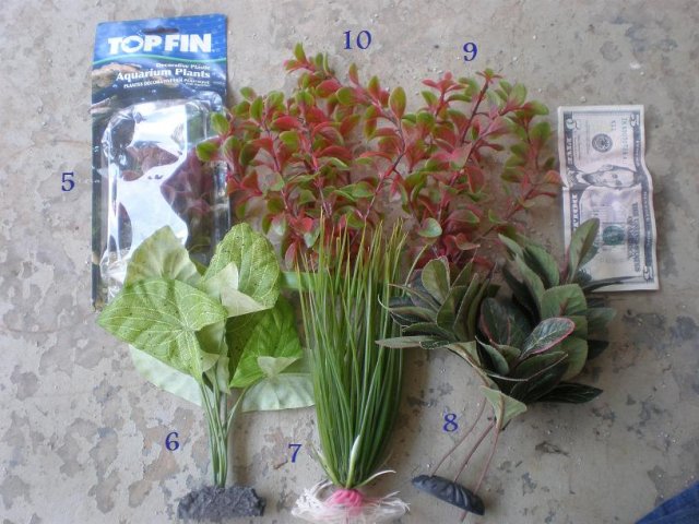 mdplants.jpg