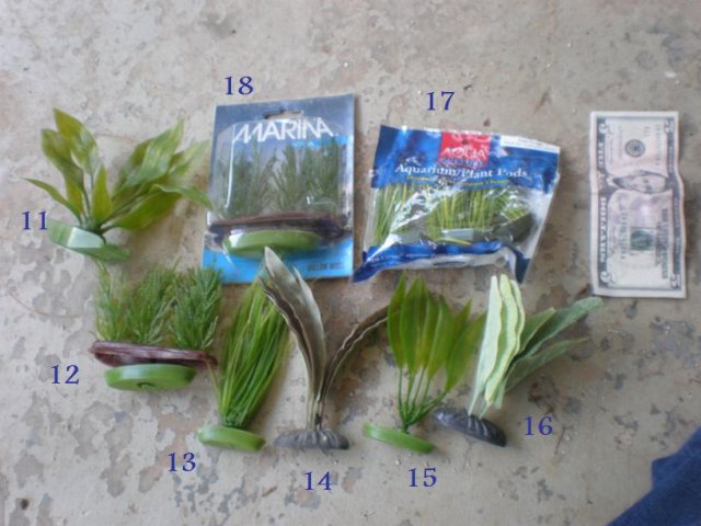 smplant.jpg