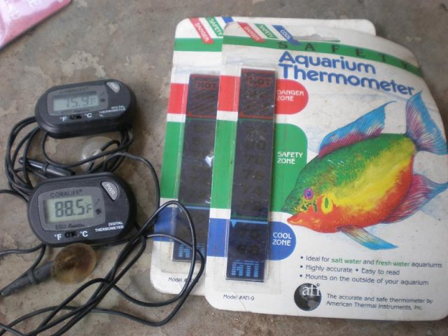 thermometer.JPG