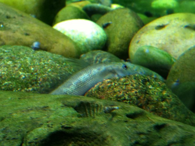 IMG_0280.JPG