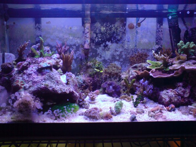 DSC02886.JPG