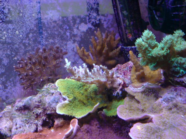 DSC02887.JPG