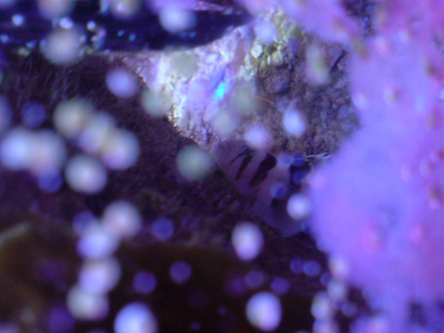 DSC02894.JPG