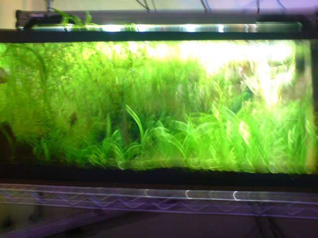 DSC02895.JPG