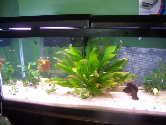100_0430.JPG