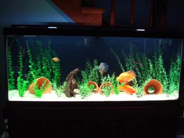 DSC08332.JPG