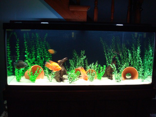 DSC08333.JPG