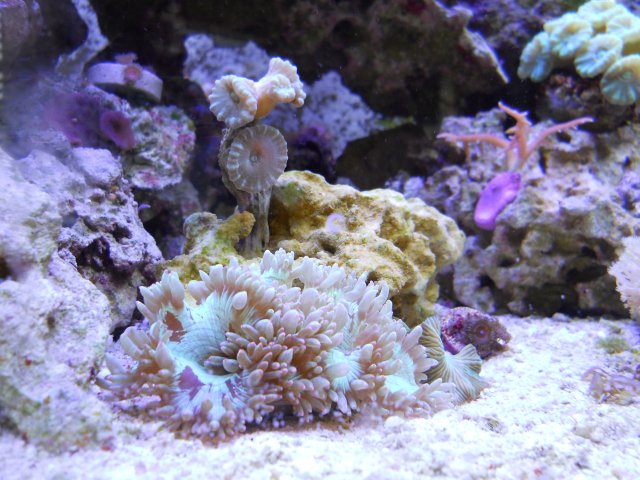 DSCN0120.JPG DSCN0120.JPG