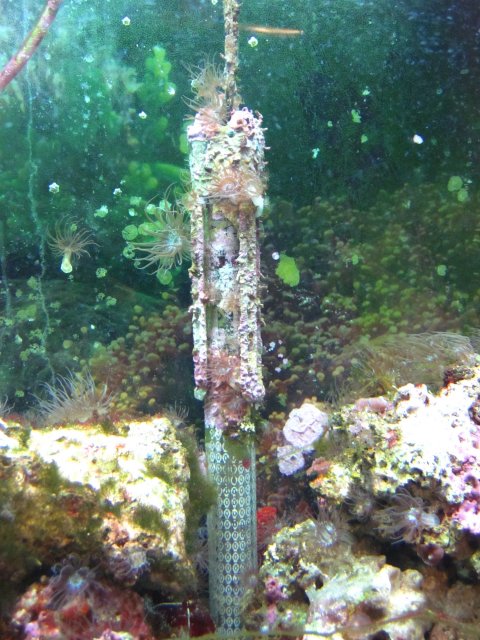 IMG_1072.jpg