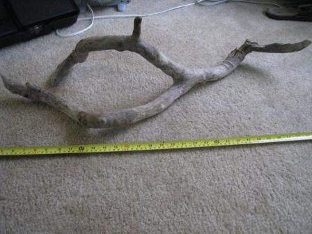 Driftwood 1.JPG