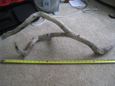 Driftwood 1a.JPG