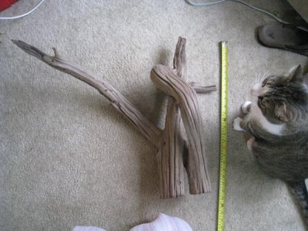 Driftwood 2.JPG
