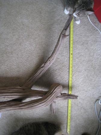 Driftwood 2a.JPG