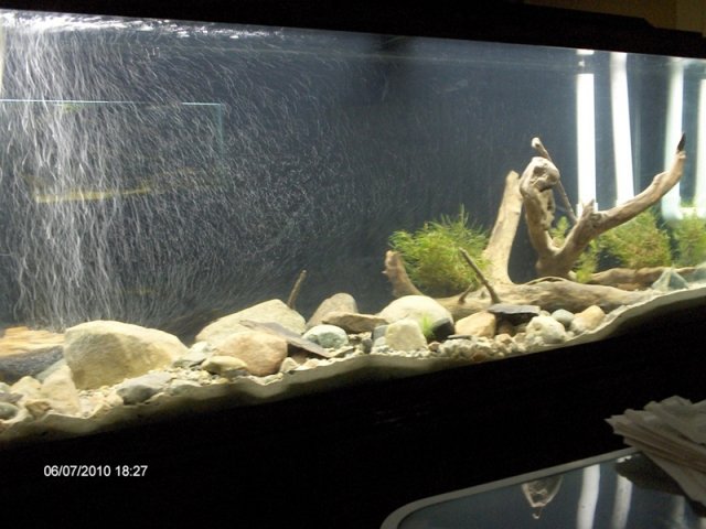 004.JPG