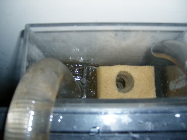 DSCF1664.JPG
