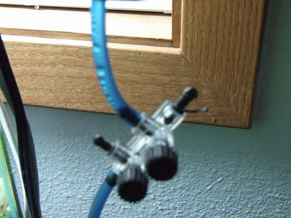 5.jpg 5.jpg