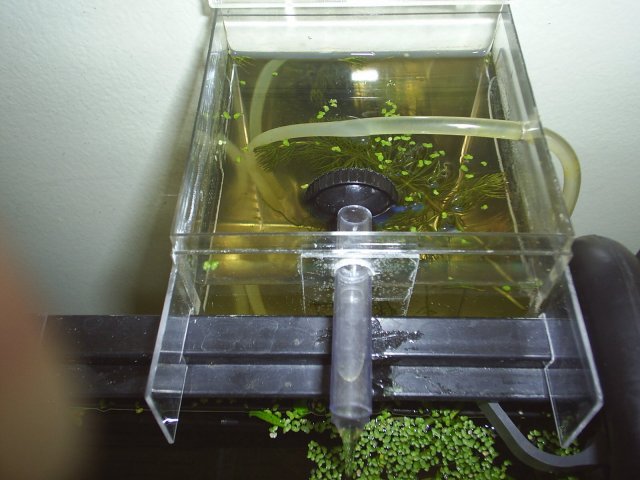 010_10.JPG