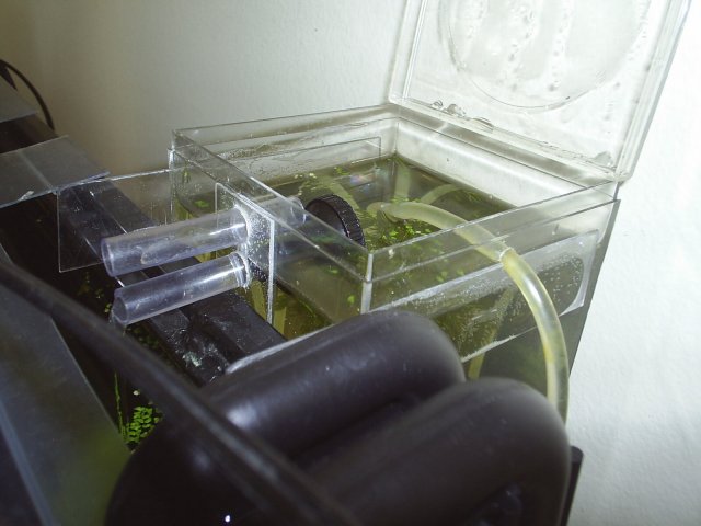 011_11.JPG 011_11.JPG