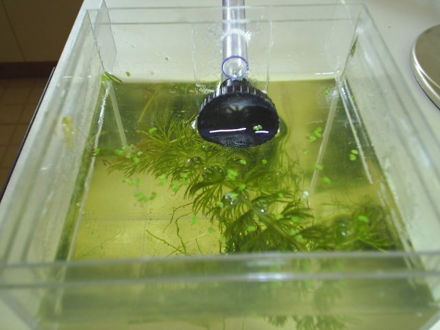 014_14.JPG 014_14.JPG