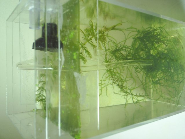 019_19.JPG 019_19.JPG