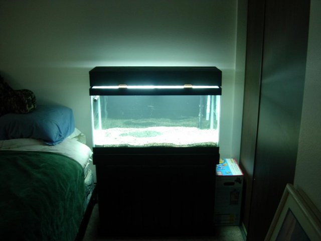 DSCN1166.JPG