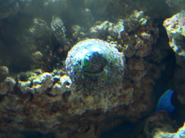 100_1140.jpg