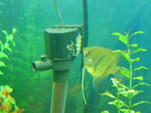 SANY0001.JPG