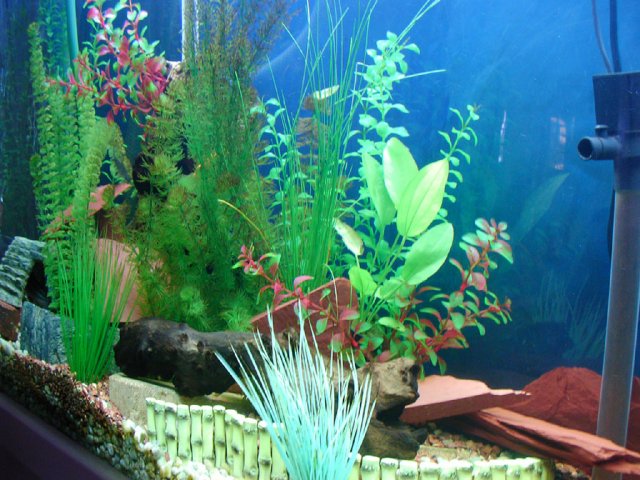 SANY0007.JPG