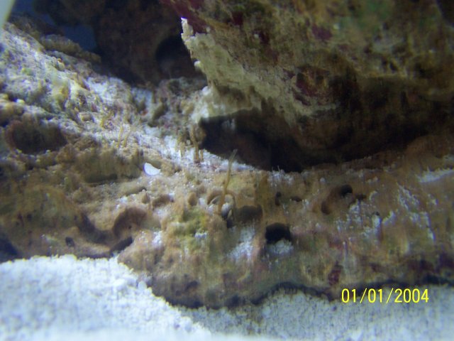 100_0630.JPG